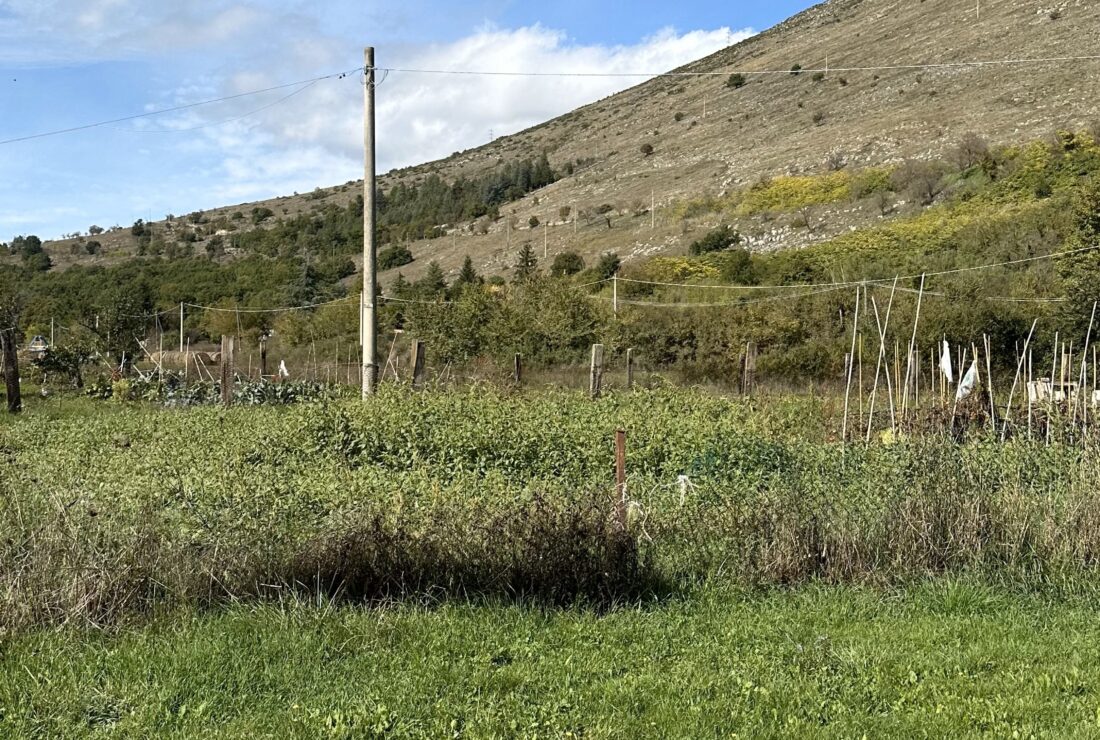 VENDESI Terreno Edificabile Scurcola Marsicana